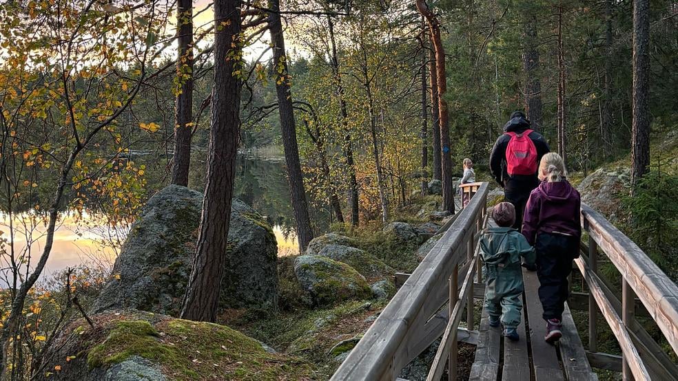 Joka kasvattajan hermostostartti +henkilökohtainen etävalmennus by Aidosti Kukoistava